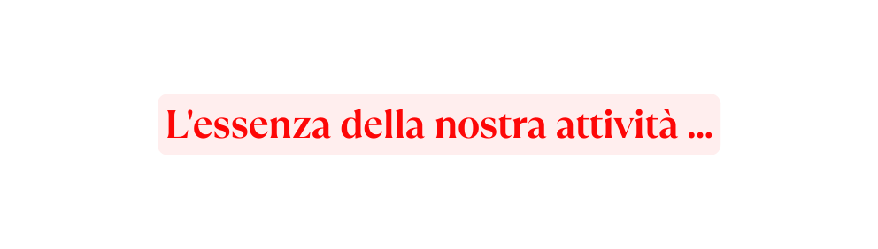 L essenza della nostra attività